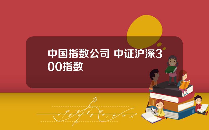 中国指数公司 中证沪深300指数